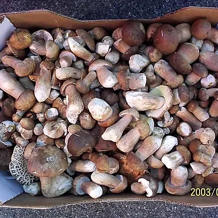 Azkue Getaria
